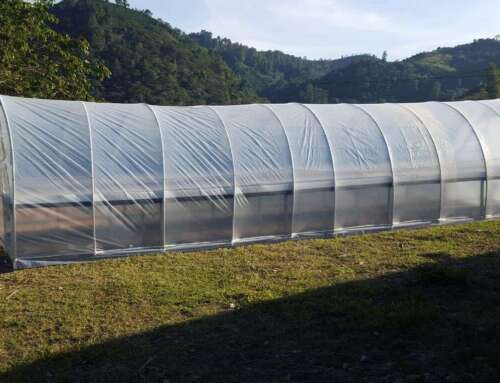 Entrega de secadoras solares tipo domo a productores de café