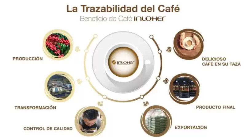Infográfico-trazabilidad-900X506