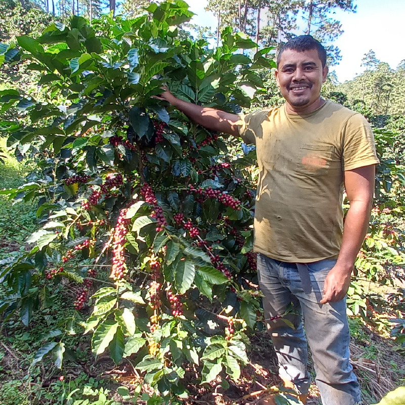 Fincas Productores