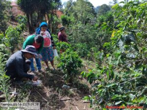 IMG-20250610-WA0010