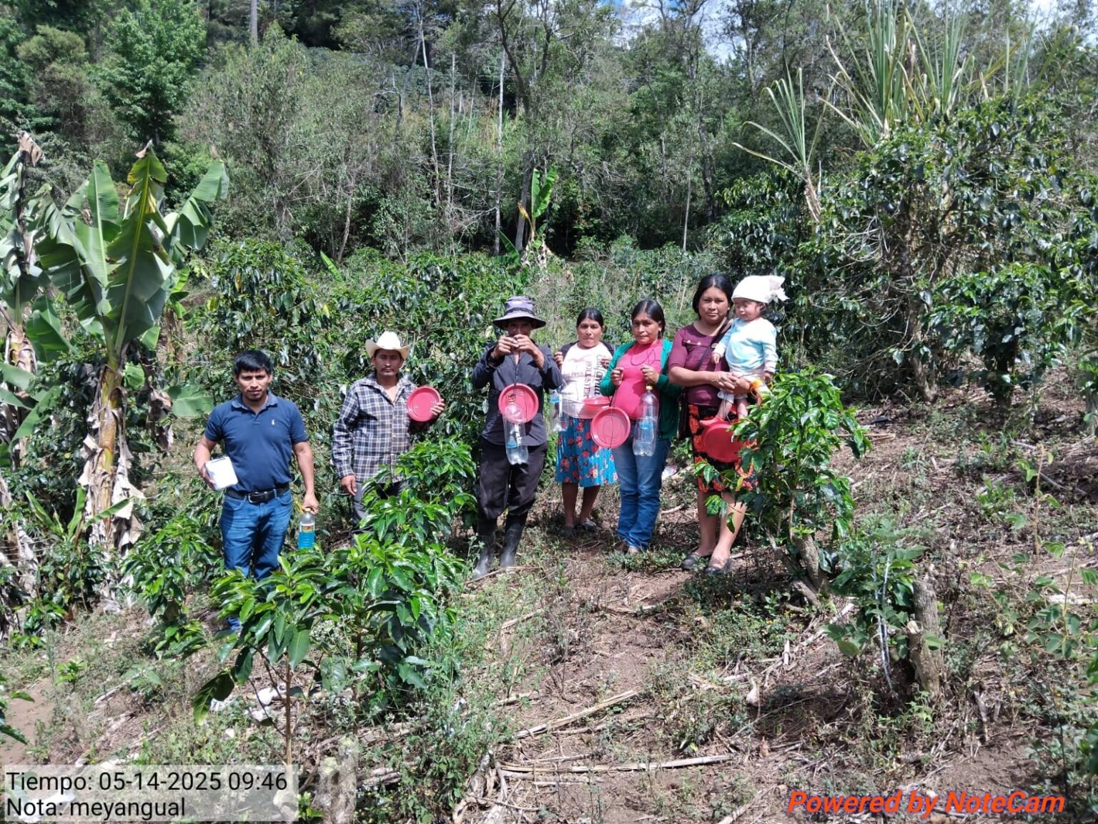 IMG-20250610-WA0011