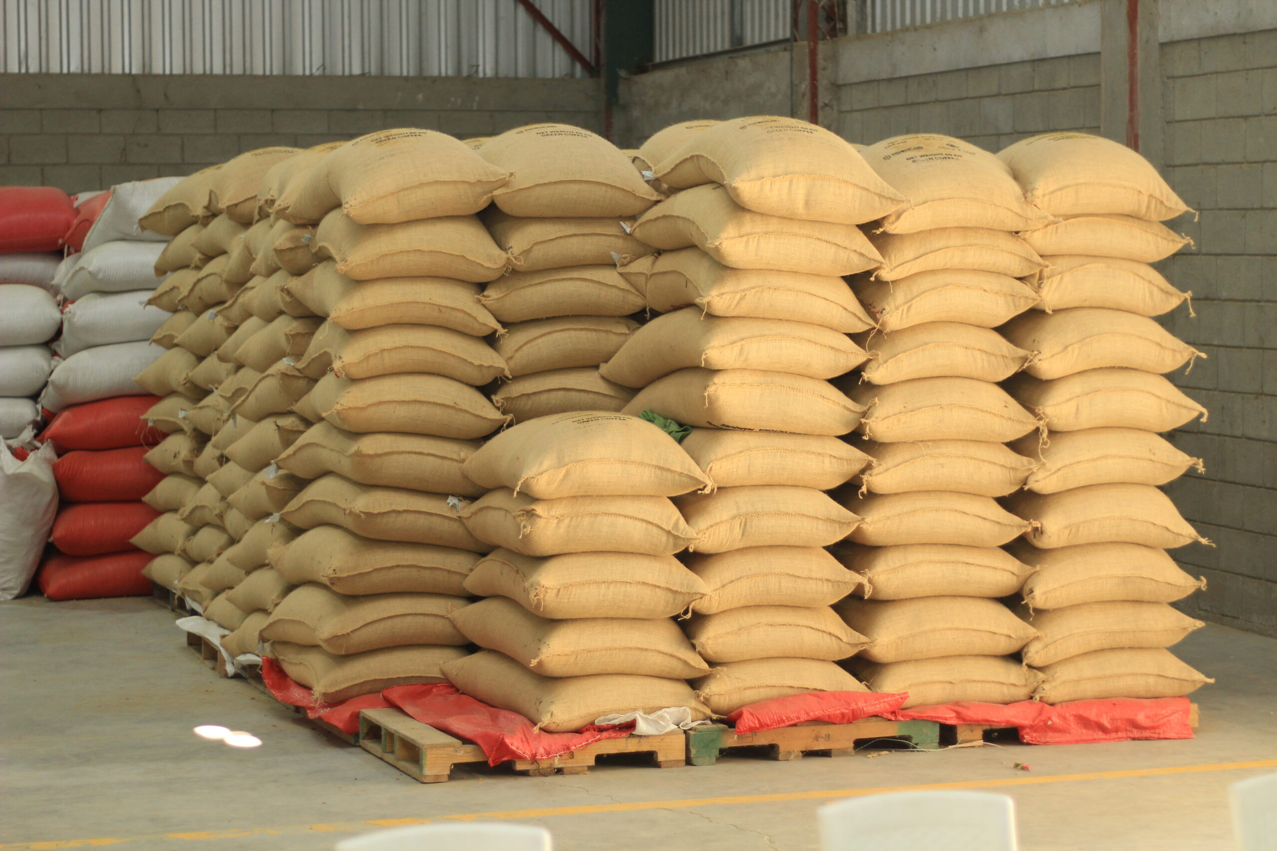 Primer contenedor de café producido 100% mujeres, Libre de Desforestación y Carbono Neutral